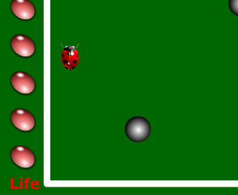 Bug in trouble