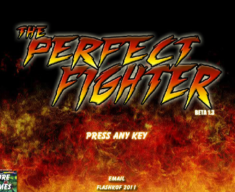 The perfect fighter