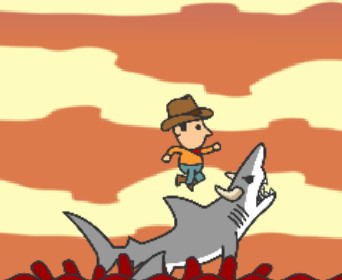 Shark rodeo