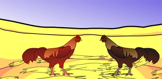 Cock Fighters