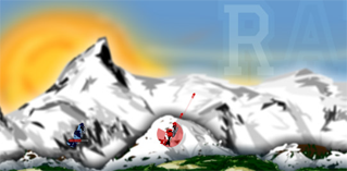 Raid