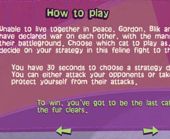 Cat fight