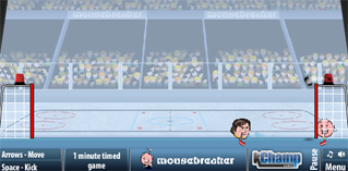 Sports heads ice hockey