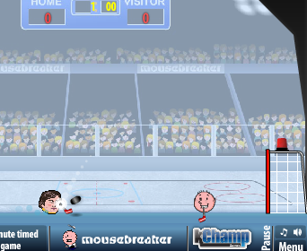 Sports heads ice hockey