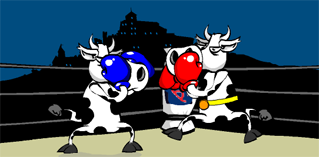 Cow fighter