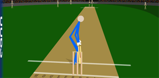 Stick cricket