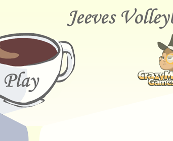 Jeeves volleybal