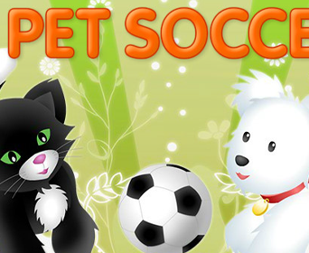 Pet soccer