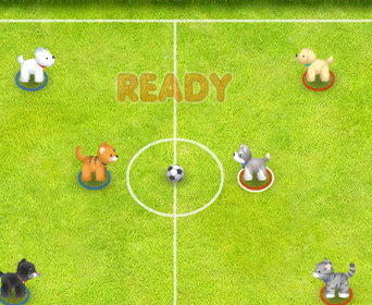 Pet soccer