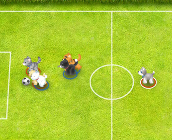 Pet soccer
