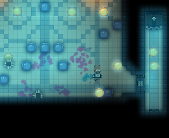 Vault runner
