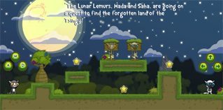 Lunar lemurs